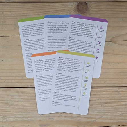 Herb Plants Deck of Information Cards Herb Plants Deck of Information Cards