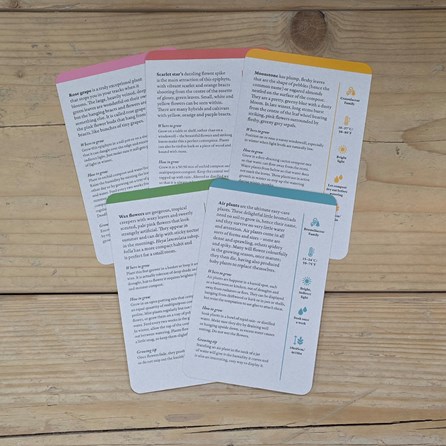 House Plants Deck of Information Cards House Plants Deck of Information Cards
