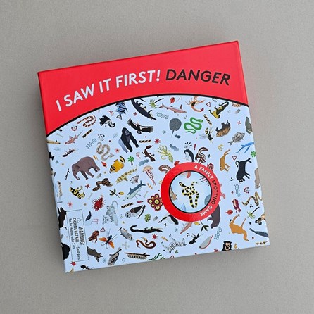 I Saw It First! Danger Spotting Game I Saw It First! Danger Spotting Game