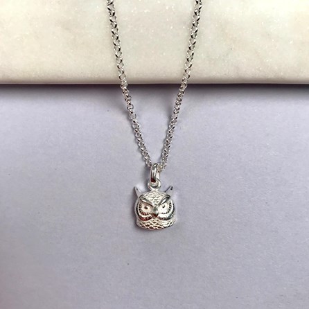 Personalised Solid Silver Owl Necklace Personalised Solid Silver Owl Necklace