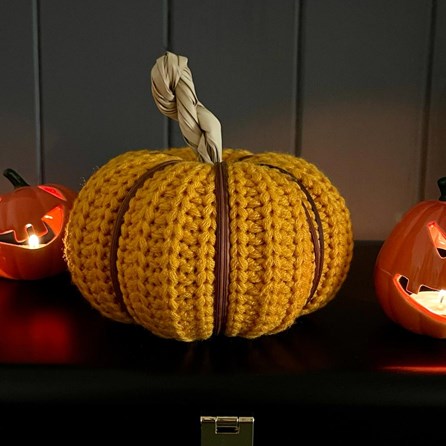 Mustard Wool Pumpkin Mustard Wool Pumpkin