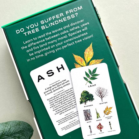 30 Tree Vision Know Your Trees Cards 30 Tree Vision Know Your Trees Cards