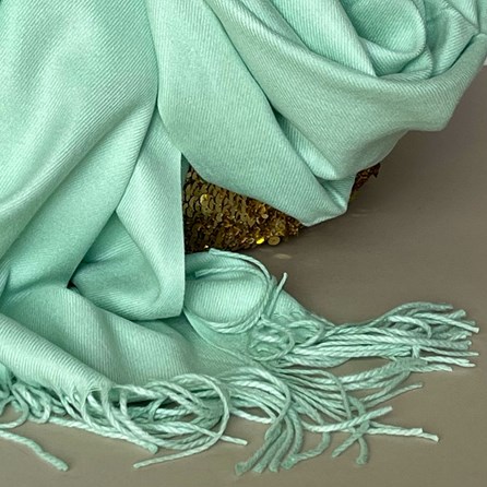 Super Soft Plain Pashmina Style Scarf in Mint Super Soft Plain Pashmina Style Scarf in Mint
