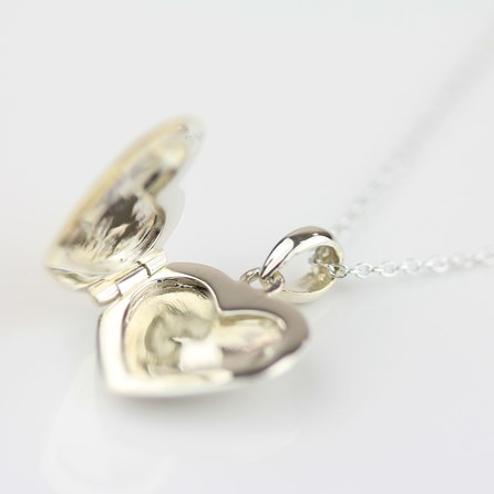 Reversible Silver And Gold Plated Locket Necklace Reversible Silver And Gold Plated Locket Necklace