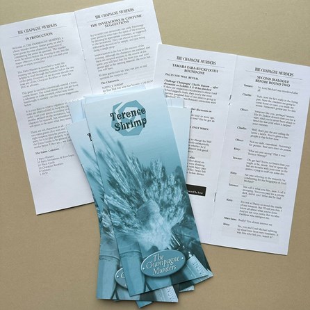 Murder Mystery Party Game - Champagne Murder Murder Mystery Party Game - Champagne Murder