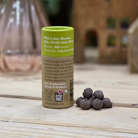 Salad Seed Balls in a Tube - Wild Rocket Salad Seed Balls in a Tube - Wild Rocket