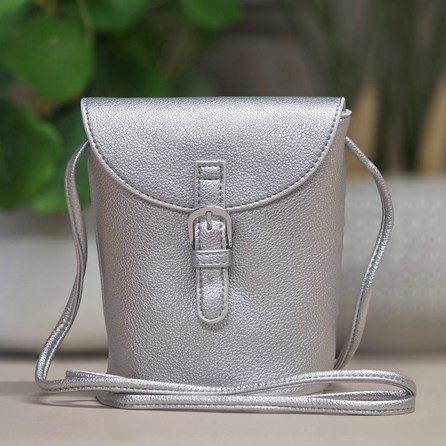 Small Cross Body Bag in Silver