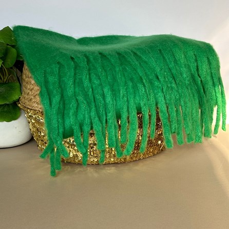 Super Soft Chunky Tassel Scarf in Green Super Soft Chunky Tassel Scarf in Green