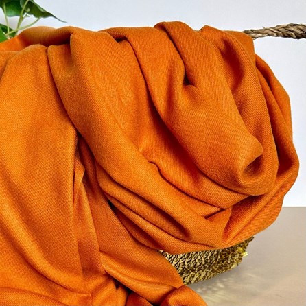 Super Soft Plain Pashmina Style Scarf in Burnt Orange Super Soft Plain Pashmina Style Scarf in Burnt Orange