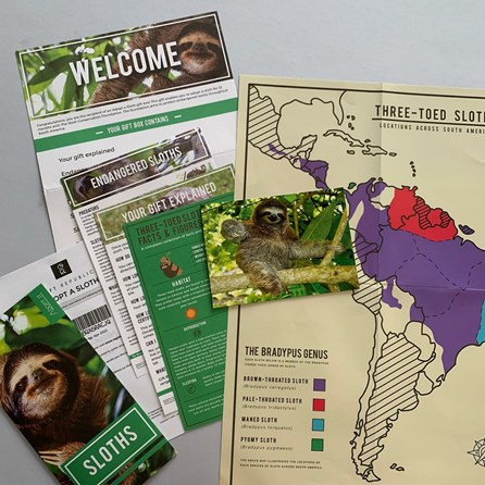 Adopt a Sloth Gift Tin Adopt a Sloth Gift Tin