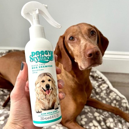 Rinse Free Dog Shampoo Aloe Vera Rinse Free Dog Shampoo Aloe Vera