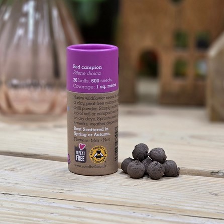 Wildflower Seed Balls in a Tube - Red Campion Wildflower Seed Balls in a Tube - Red Campion