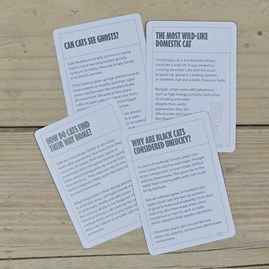 100 Become an Expert in Cats Cards 100 Become an Expert in Cats Cards