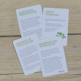 100 Become an Expert in House Plants Cards 100 Become an Expert in House Plants Cards