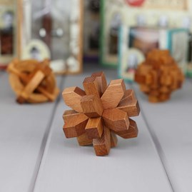 Three Classic Wooden Puzzles Based On Great Minds Three Classic Wooden Puzzles Based On Great Minds