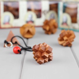 Set Of Five Puzzles Based On Great Minds Set Of Five Puzzles Based On Great Minds