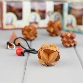 Set Of Five Puzzles Based On Great Minds Set Of Five Puzzles Based On Great Minds