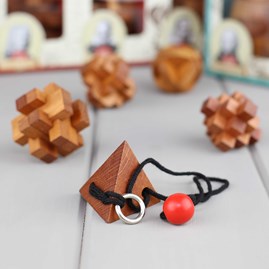 Set Of Five Puzzles Based On Great Minds Set Of Five Puzzles Based On Great Minds