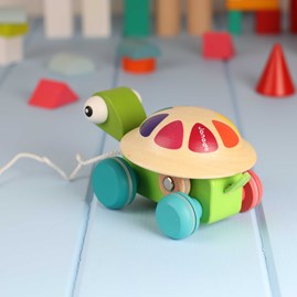 Zigolos Pull Along Turtle Zigolos Pull Along Turtle