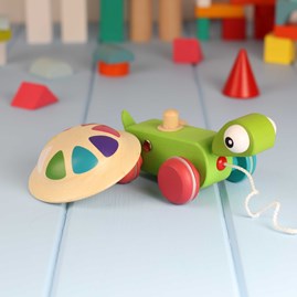 Zigolos Pull Along Turtle Zigolos Pull Along Turtle