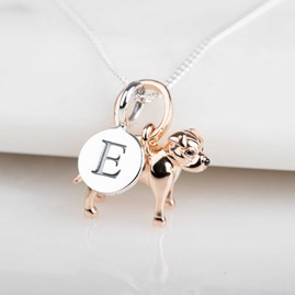 Personalised Staffordshire Bull Terrier Necklace