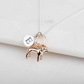 Personalised Staffordshire Bull Terrier Necklace Personalised Staffordshire Bull Terrier Necklace