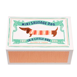 Mini Sausage Dog in a Little Box
