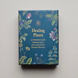 50 Healing Plants Botanical Cards 50 Healing Plants Botanical Cards