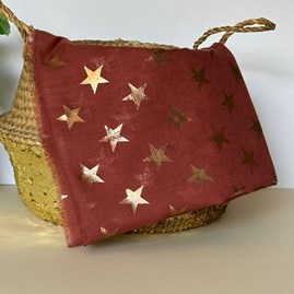 Antique Stars Print Scarf in Red