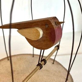 Bird in a Rusty Wire Cage Bird in a Rusty Wire Cage