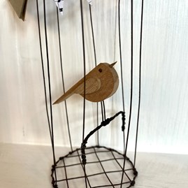 Bird in a Rusty Wire Cage - Large Bird in a Rusty Wire Cage - Large