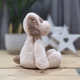 Ebba Eco Toddy Dog Soft Toy
