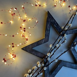 Berry String Lights