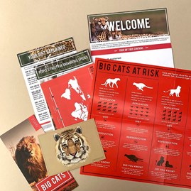 Adopt a Big Cat Gift Tin Adopt a Big Cat Gift Tin