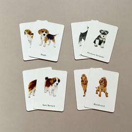 Dogs And Puppies Memory Game Dogs And Puppies Memory Game