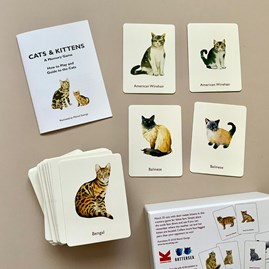 Cats And Kittens Memory Game Cats And Kittens Memory Game