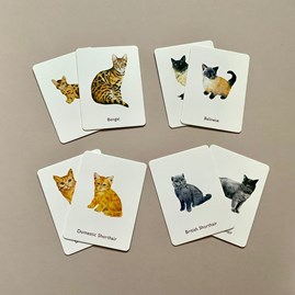Cats And Kittens Memory Game Cats And Kittens Memory Game