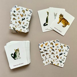 Cats And Kittens Memory Game Cats And Kittens Memory Game