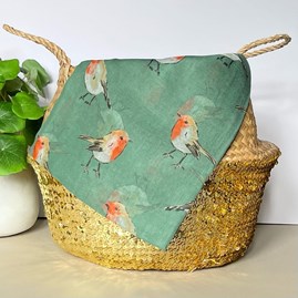 Watercolour Robins Print Scarf in Green Watercolour Robins Print Scarf in Green