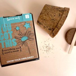 Grow Me You Got This Daisy Gift Box Grow Me You Got This Daisy Gift Box