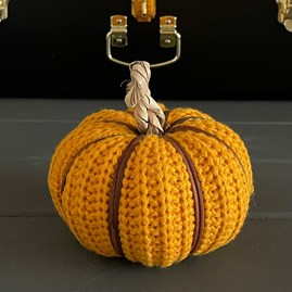 Mustard Wool Pumpkin Mustard Wool Pumpkin
