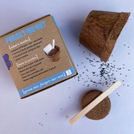 Grow Me Forget-Me-Not Gift Box Grow Me Forget-Me-Not Gift Box