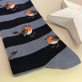 Men's Bamboo Robins & Stripes Socks in Blue