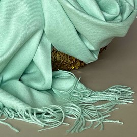 Super Soft Plain Pashmina Style Scarf in Mint Super Soft Plain Pashmina Style Scarf in Mint