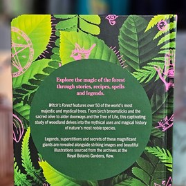 Kew - Witch's Forest Book Kew - Witch's Forest Book