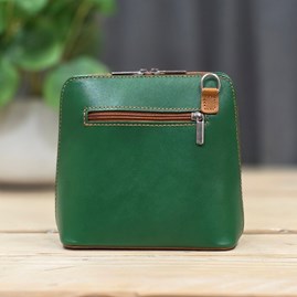 Leather Cross Body Handbag in Green and Tan