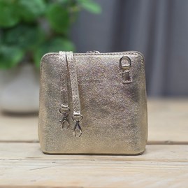Leather Cross Body Handbag in Metallic Gold