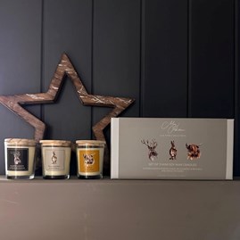 Meg Hawkins 'Favourites' Set of 3 Mini Candles Meg Hawkins 'Favourites' Set of 3 Mini Candles