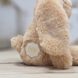 Oatey The Long Leg Light Brown Bunny Soft Toy
