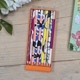Set of 10 Watercolour Pencils
